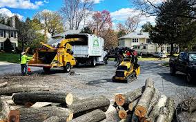 Best Tree Maintenance Programs  in Butner, NC